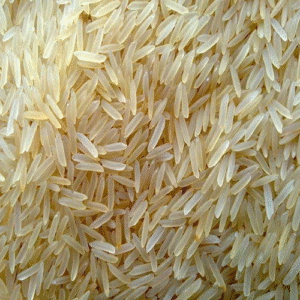 PR11 Sella Rice