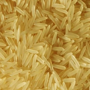 PR14 Golden Sella Rice