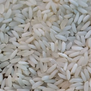 Sona Masoori Steam Rice