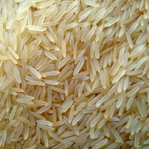 1718 Steam Basmati Rice